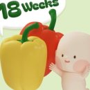 김건우 산부인과의원 이미지