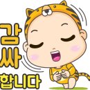 S0146 이미지