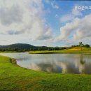 킹스크린골프장 이미지