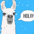 오라HORA