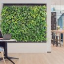 숲속공기 이미지