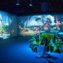 앨리스인원더랜드 이미지