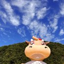 횡성한우농장 이미지