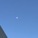 진참치수성점 | 범어동스시 진베 수성범어점 친구랑 점심 모임장소 가기 좋은 신선한 초밥 맛집 방문 후기