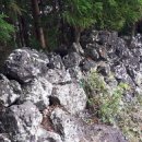 장원사슴목장 이미지