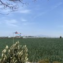 외갓집마당 영농조합법인 이미지