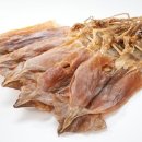 도그야미 이미지