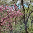 기곡리경로당 이미지