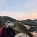 운용소류지 네이버블로그