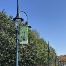 주토피아 | [상하이 여행] 3일차 상하이 디즈니랜드 주토피아 후기