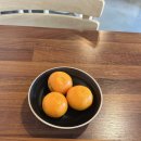 야옹이돈까스 이미지