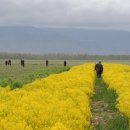 개척농장 이미지