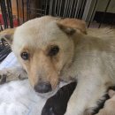 안골로108번길 이미지