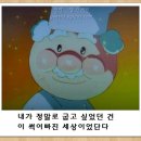 쨈아저씨 이미지