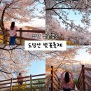부천로354번길 | 도당산벚꽃축제 부천벚꽃명소 노을에 반해 다시 다녀온 후기(26.4.8방문)