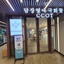 담장예쁜집 | 인사동 예쁜 카페 추천 인사동데이트 빙수가 맛있다. 담장옆에국화꽃 CCOT 디저트가 맛있는 인사동커피숍