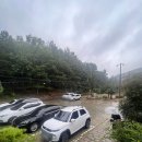 불미골오리 이미지