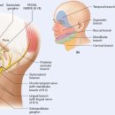 성진한의원 이미지