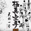 제9회 전한국 극진공수도 선수권 대회 포스터 이미지