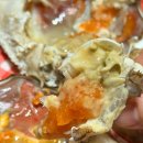 줄포시장 | 노량진수산시장 줄포상회 암꽃게가 벌써 (25.12.17) 내돈내산 솔직후기(꽃게 알상태, 꽃게찜레시피)