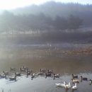 오산공인중개사사무소 이미지