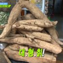 허준과심마니