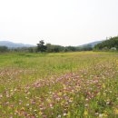 주소 공원 이미지