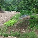 청풍농장 이미지