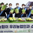 양재점 현대자동차 이미지