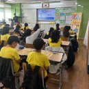 교대부설초등학교 이미지