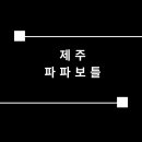 파파보틀 이미지