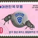 조국의 미래 청년의 이미지