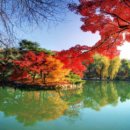 삶-풍경…愛 이미지