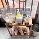 유달식당 | [목포 식당] 목포 한 상 차림, 유달회관 내돈내산 방문 후기