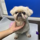 포일동물병원 이미지