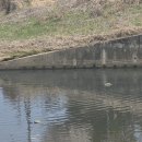 소리천로 이미지