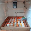 별이네농장 이미지