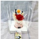 솔향데코 네이버블로그