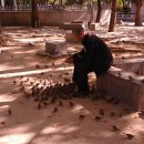 대월놀이공원 이미지