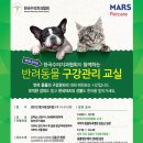 동물치과병원메이 이미지