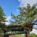 남국선원 - 1006 | 남국선원