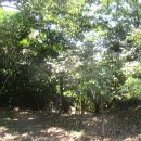 우산공원1 이미지