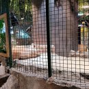 요녀석(하남점) 이미지