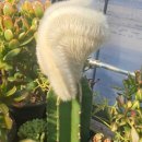 샬롬농원 이미지