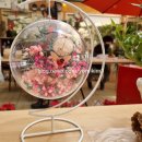 원예심리치료전문가과정 이미지