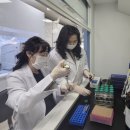 원당종합시장 이미지