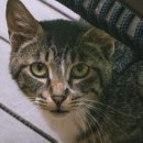 의림스테이 이미지