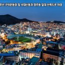 구덕운동장 이미지