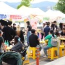 밀양아리랑대축제 솔직 방문 후기｜이건 모르고 가면 손해… 현지인이 알려준 꿀팁 총정리”