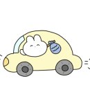 아지 상점 이미지